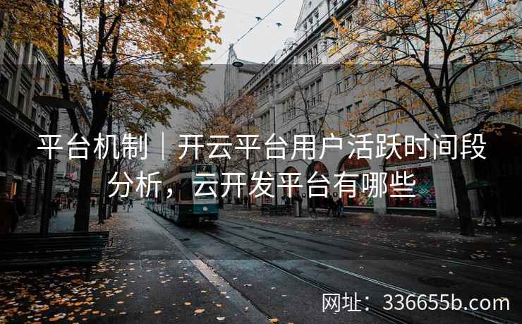平台机制｜开云平台用户活跃时间段分析，云开发平台有哪些